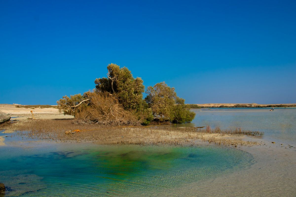 Pickalbatros Vita Resort