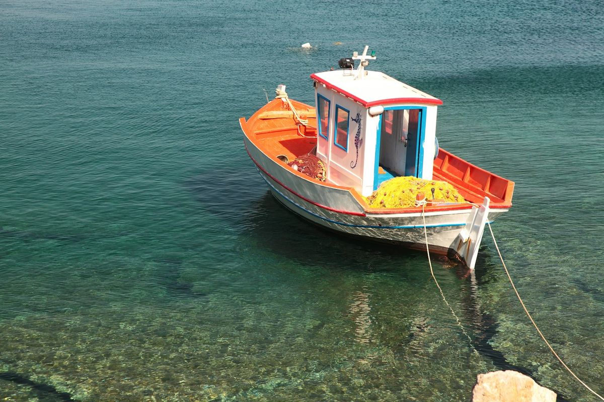 Bingo Samos 4*