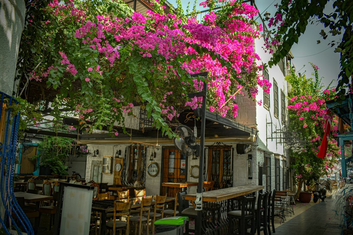 Begonville Hotel