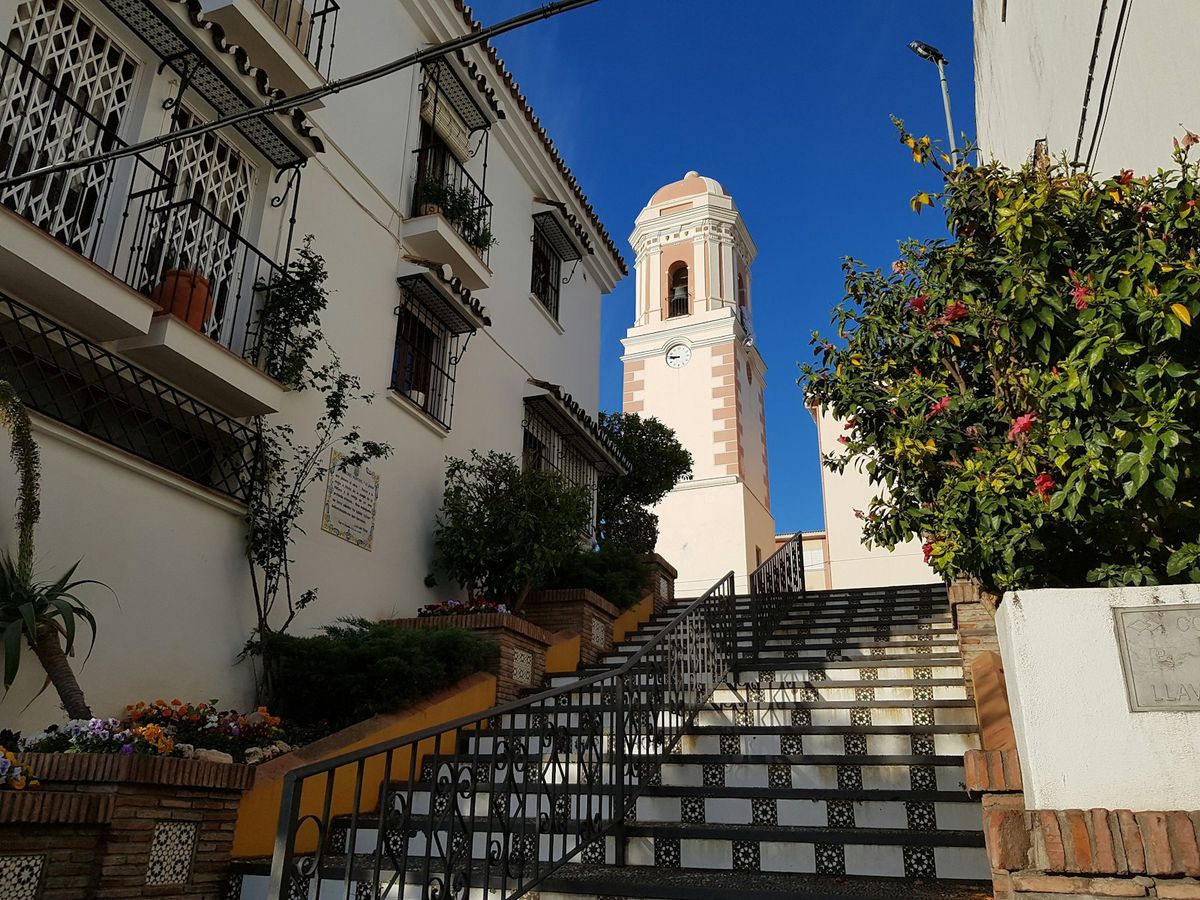MS Amaragua