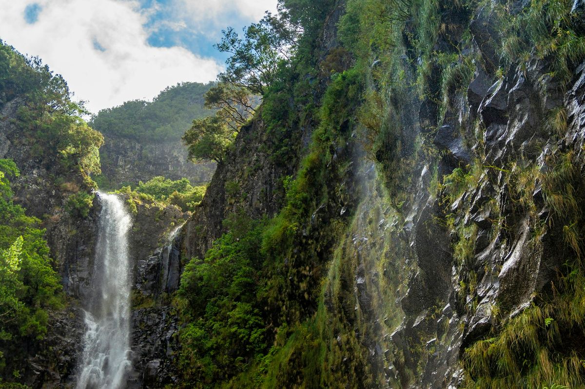 Fly & Go Hyatt Ziva Madeira