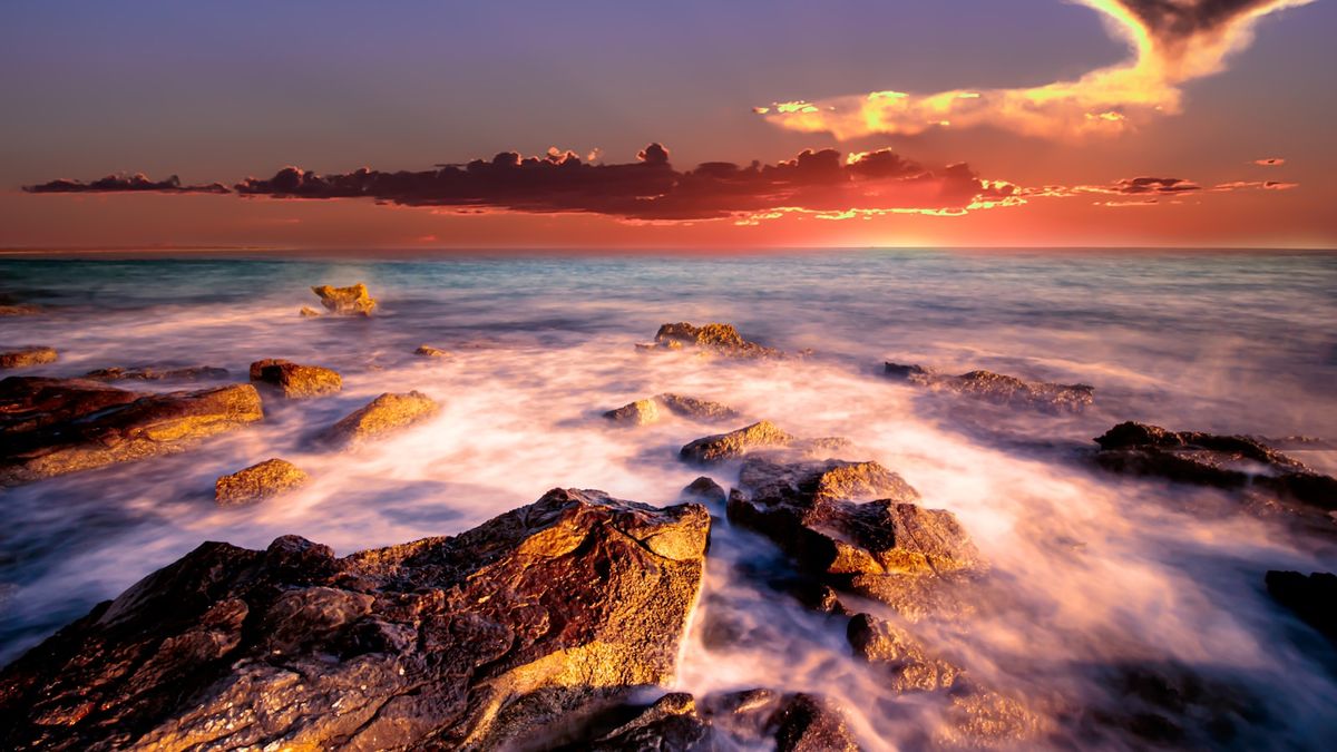 Long Beach Club Nature
