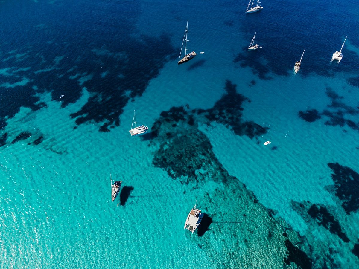 Vibra Mare Nostrum